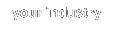 your industry